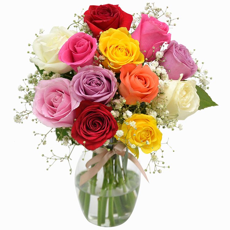 Elegância com as Rosas Coloridas
