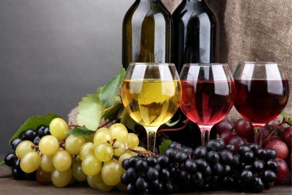 Aprenda diferenciar os tipos de vinho e saiba o que beber